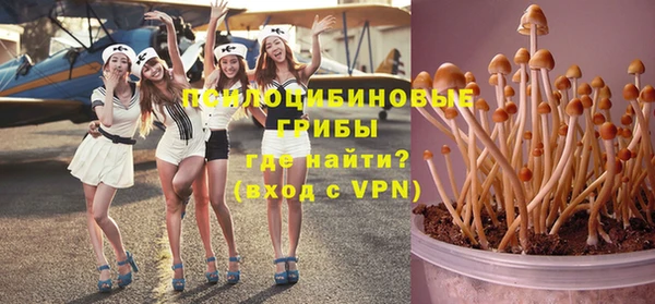 эйфоретик Богородицк
