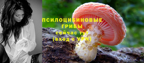 2c-b Богданович