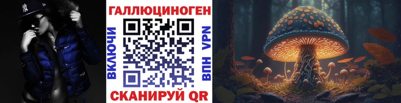 kraken сайт  Макаров  Галлюциногенные грибы Psilocybine cubensis  где можно купить наркотик 